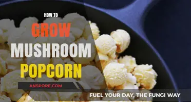 Growing Mushroom Popcorn: Simple Steps for a Unique Snack Experience