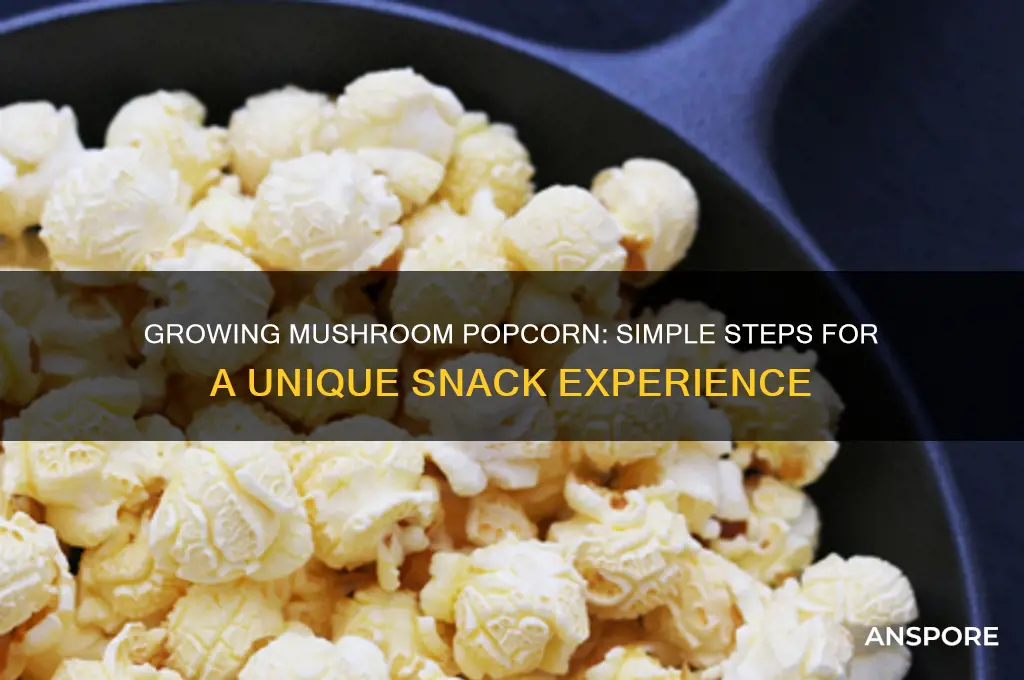 how to grow mushroom popcorn