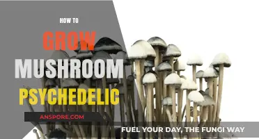 Cultivating Psychedelic Mushrooms: A Comprehensive Guide to Safe Growth Techniques