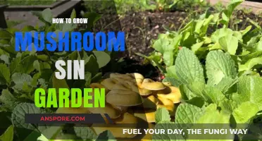 Growing Mushrooms in Your Garden: A Beginner’s Step-by-Step Guide