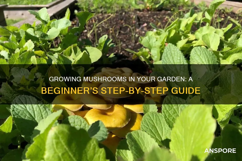 how to grow mushroom sin garden