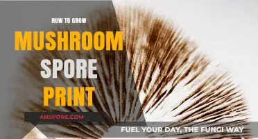 Mastering Mushroom Cultivation: A Step-by-Step Guide to Growing Spore Prints