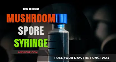 Mastering Mushroom Cultivation: A Guide to Growing Spore Syringes