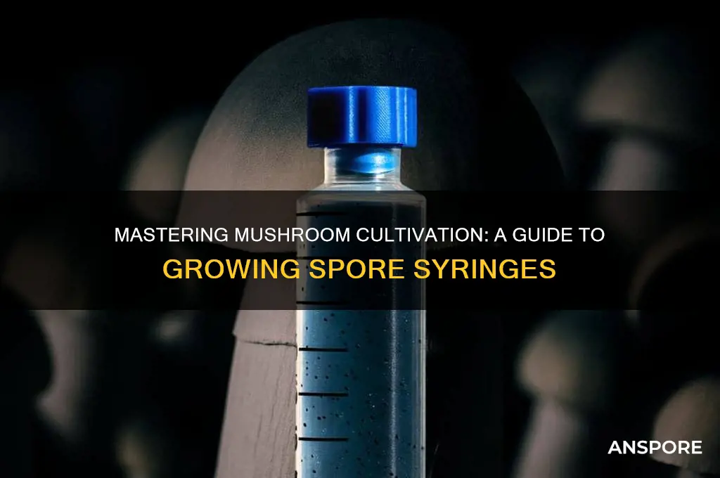how to grow mushroom spore syringe