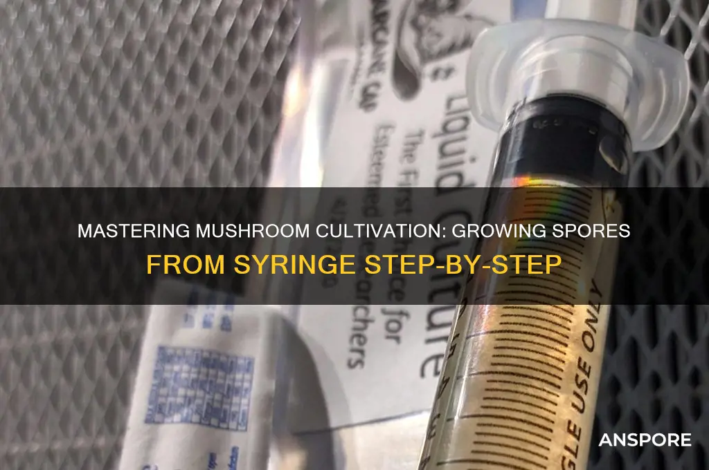 how to grow mushroom spores from syringe