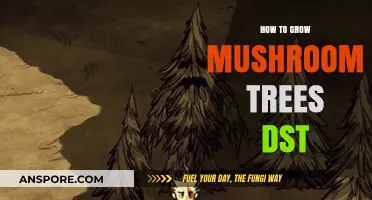 Mastering Mushroom Tree Growth in Don’t Starve Together: A Complete Guide
