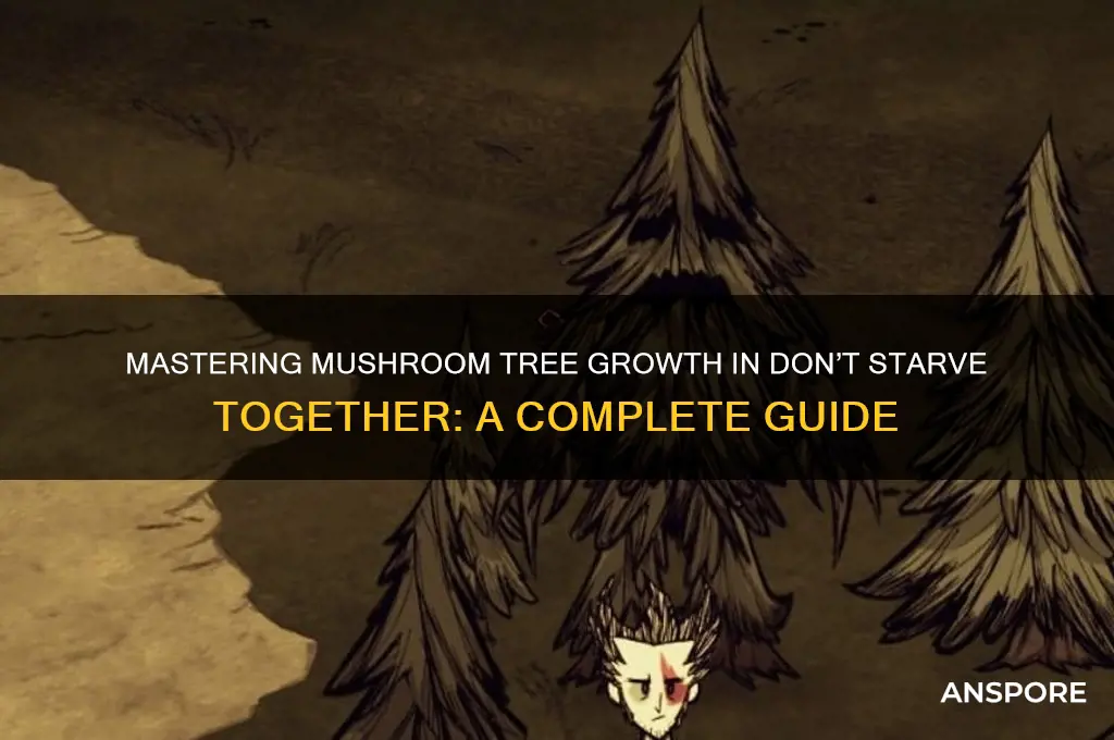 how to grow mushroom trees dst