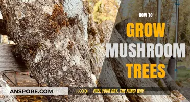 Cultivating Mushroom Trees: A Step-by-Step Guide to Growing Fungal Forests
