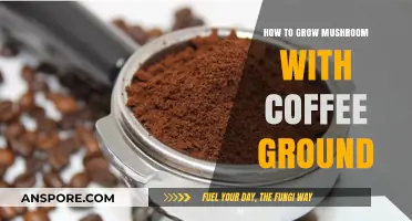 Grow Mushrooms with Coffee Grounds: A Simple Eco-Friendly Guide