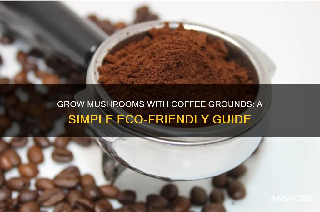 how to grow mushroom with coffee ground