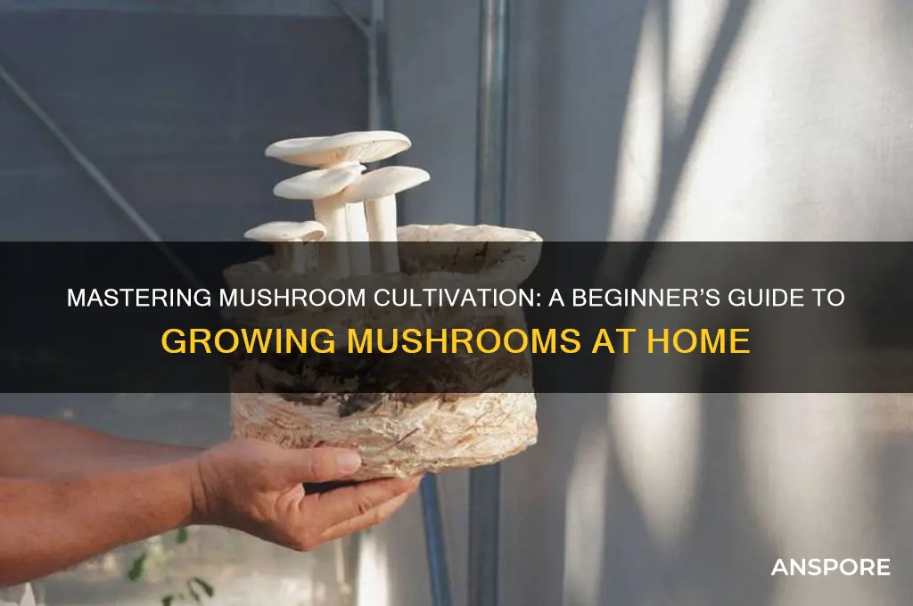 how to grow mushrooms at hme