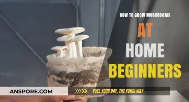Easy Mushroom Growing: A Beginner's Guide to Home Cultivation