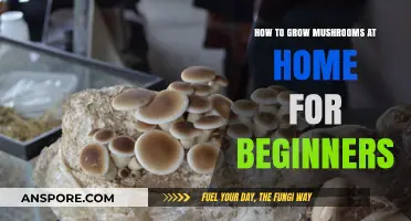 Easy Home Mushroom Growing: A Beginner's Guide to Success
