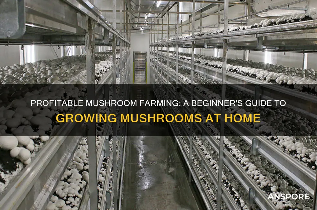 how to grow mushrooms at home for profit