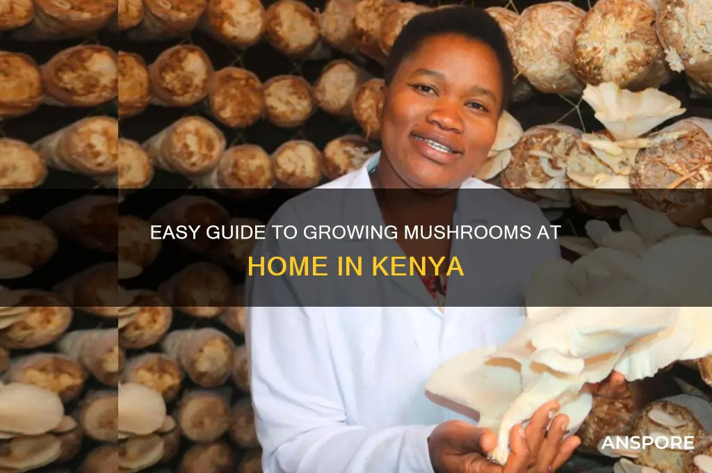 how to grow mushrooms at home in kenya