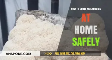 Safely Cultivate Mushrooms at Home: A Beginner's Step-by-Step Guide