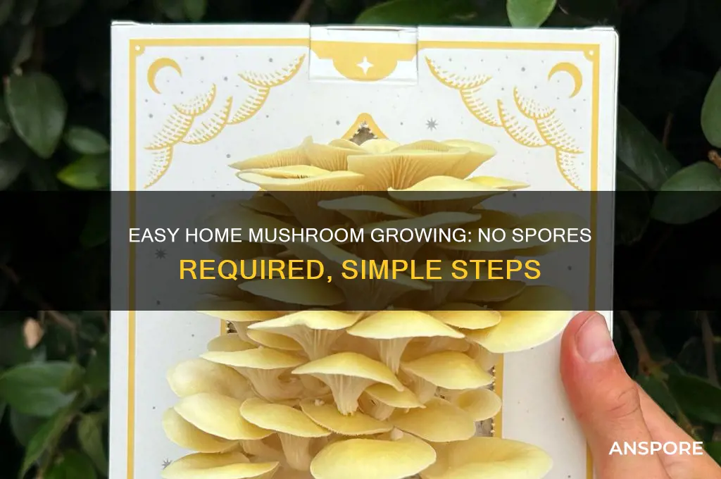 how to grow mushrooms at home without spores