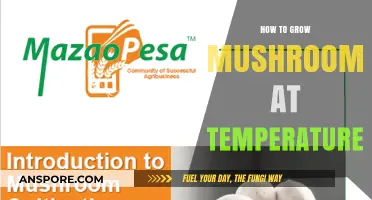 Mastering Mushroom Cultivation: Optimal Temperature Tips for Successful Growth