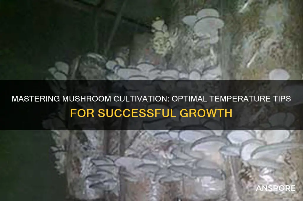 how to grow mushrooms at temperature
