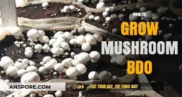Mastering Mushroom Cultivation in BDO: A Step-by-Step Guide