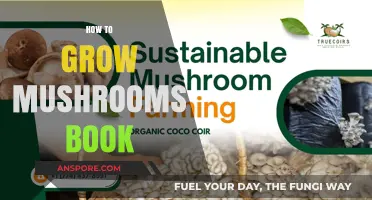 Master Mushroom Cultivation: A Guide to Growing Mushrooms at Home