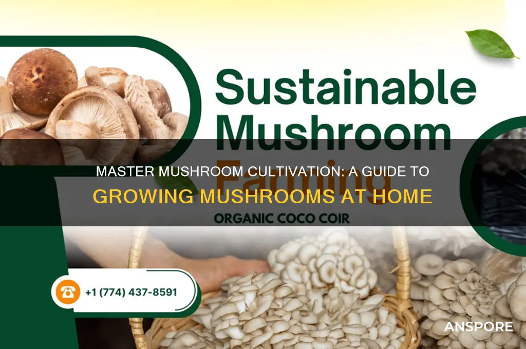 how to grow mushrooms book