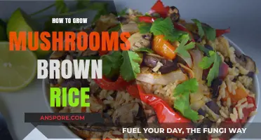 Growing Brown Rice Mushrooms: A Simple Step-by-Step Guide