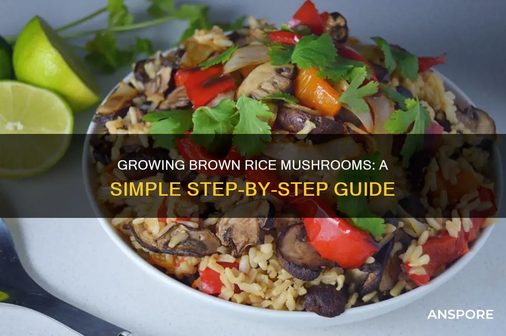 how to grow mushrooms brown rice