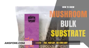Mastering Bulk Substrate Techniques for Abundant Mushroom Cultivation