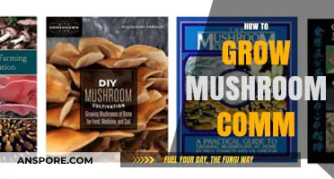 Mastering Mushroom Cultivation: A Comprehensive Guide to Growing Mushrooms at Home