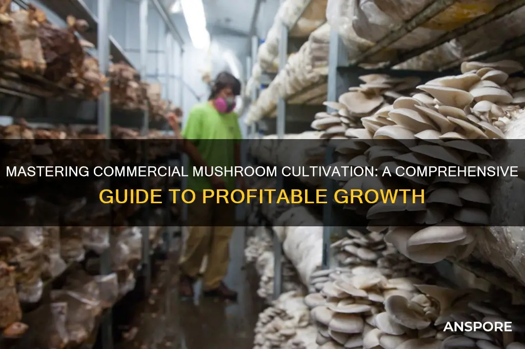how to grow mushrooms commercially