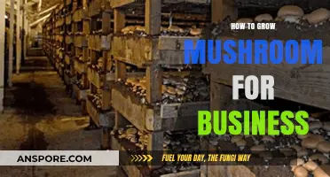 Profitable Mushroom Farming: A Comprehensive Guide to Growing for Business