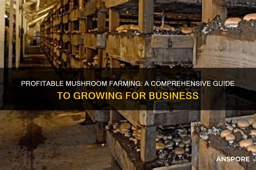 how to grow mushrooms for business