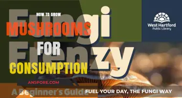 Mastering Mushroom Cultivation: A Beginner's Guide to Growing Edible Fungi