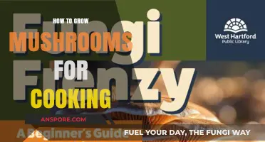 Mastering Mushroom Cultivation: A Beginner's Guide to Growing Edible Fungi