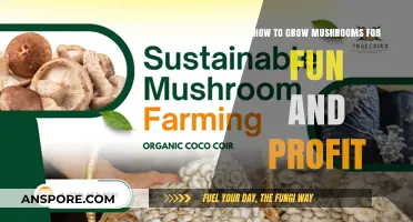 Cultivating Mushrooms: A Fun, Profitable Hobby for Beginners and Beyond