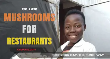 Mastering Mushroom Cultivation: A Guide for Restaurant Freshness and Flavor