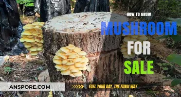 Profitable Mushroom Cultivation: A Step-by-Step Guide to Growing for Sale