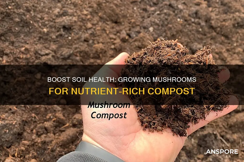 how to grow mushrooms for soil compost