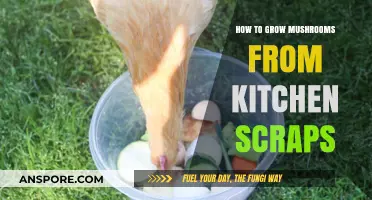 Transform Kitchen Scraps into Mushrooms: A Simple DIY Guide