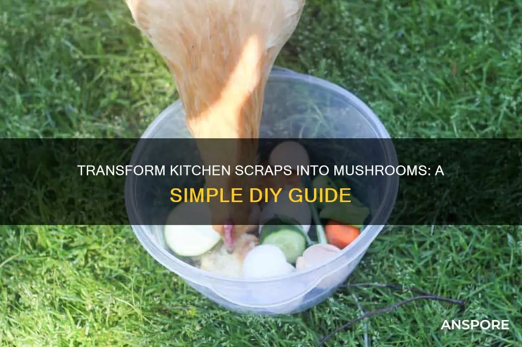 how to grow mushrooms from kitchen scraps