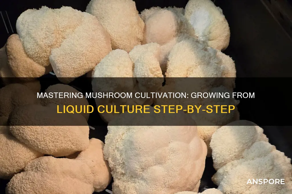 how to grow mushrooms from liquid culture