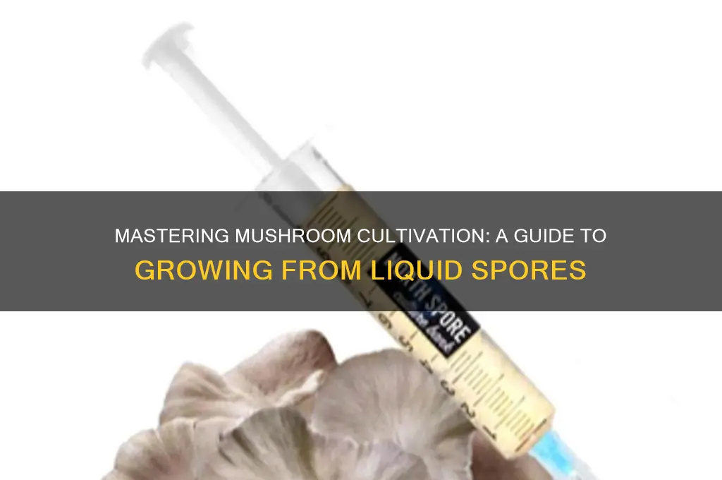 how to grow mushrooms from liquid spores