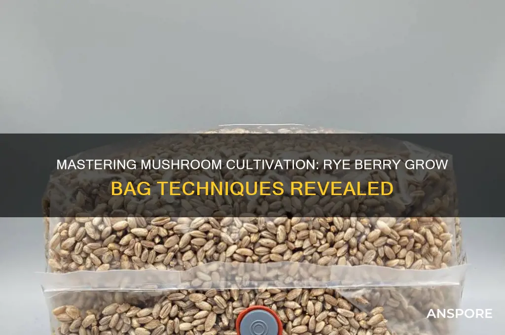how to grow mushrooms from rye berry grow bag