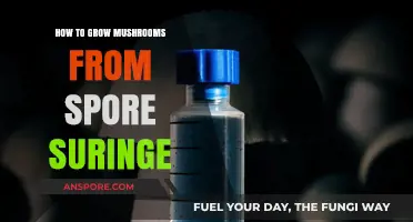 Master Mushroom Cultivation: Growing from Spore Syringes Step-by-Step