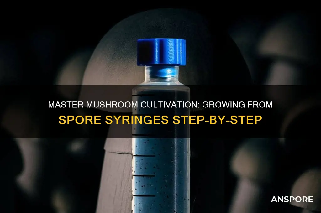 how to grow mushrooms from spore suringe