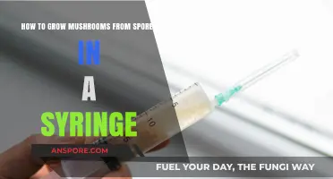 Mastering Mushroom Cultivation: Growing from Spores in a Syringe
