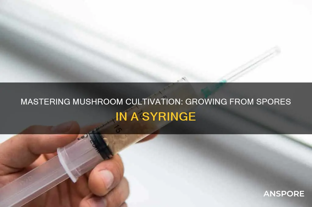 how to grow mushrooms from spores in a syringe