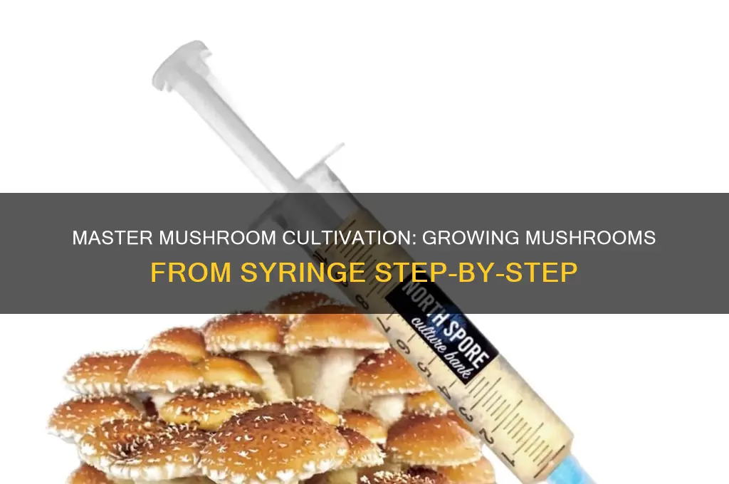 how to grow mushrooms from syringe