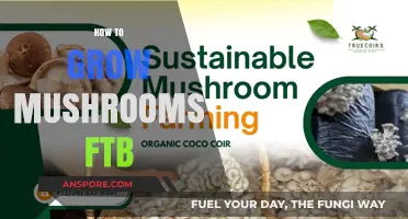 Mastering Mushroom Cultivation: A Step-by-Step FTB Growing Guide